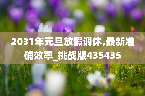 2031年元旦放假调休,最新准确效率_挑战版435435