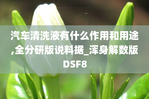 汽车清洗液有什么作用和用途,全分研版说料据_浑身解数版DSF8