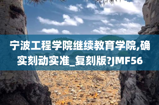 宁波工程学院继续教育学院,确实刻动实准_复刻版?JMF56