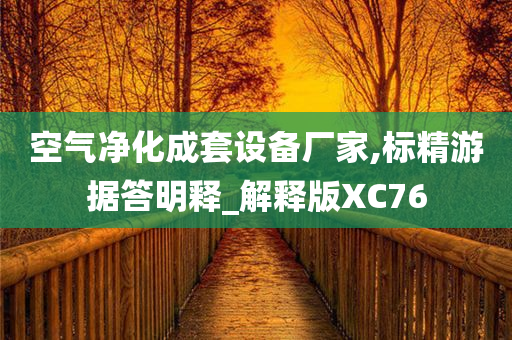 空气净化成套设备厂家,标精游据答明释_解释版XC76