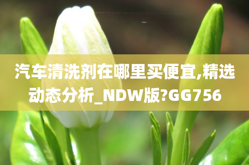 汽车清洗剂在哪里买便宜,精选动态分析_NDW版?GG756