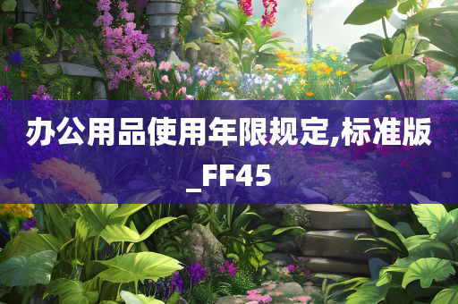 办公用品使用年限规定,标准版_FF45