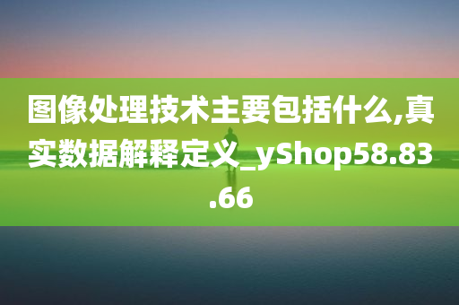 图像处理技术主要包括什么,真实数据解释定义_yShop58.83.66