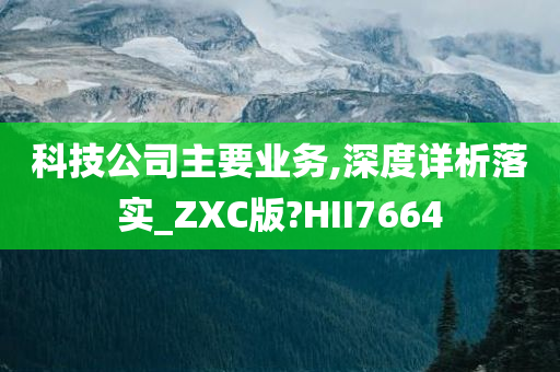 科技公司主要业务,深度详析落实_ZXC版?HII7664