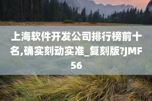 上海软件开发公司排行榜前十名,确实刻动实准_复刻版?JMF56