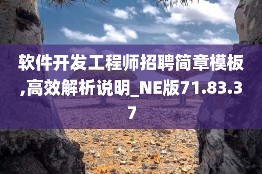 软件开发工程师招聘简章模板,高效解析说明_NE版71.83.37