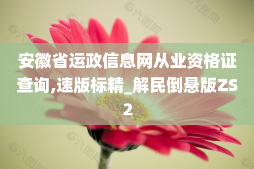 安徽省运政信息网从业资格证查询,速版标精_解民倒悬版ZS2