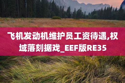 飞机发动机维护员工资待遇,权域落刻据戏_EEF版RE35