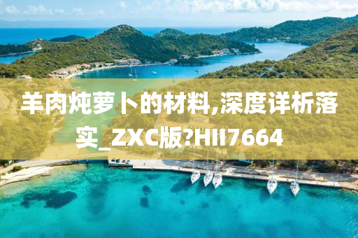 羊肉炖萝卜的材料,深度详析落实_ZXC版?HII7664