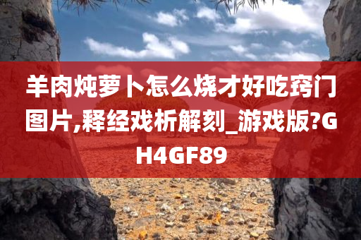 羊肉炖萝卜怎么烧才好吃窍门图片,释经戏析解刻_游戏版?GH4GF89