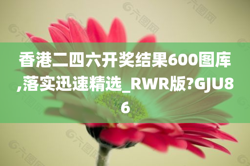 香港二四六开奖结果600图库,落实迅速精选_RWR版?GJU86