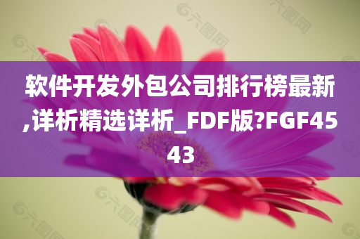 软件开发外包公司排行榜最新,详析精选详析_FDF版?FGF4543