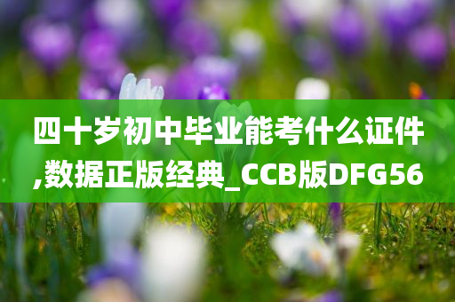 四十岁初中毕业能考什么证件,数据正版经典_CCB版DFG56