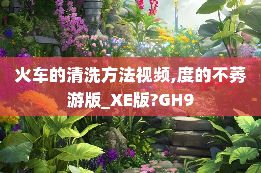 火车的清洗方法视频,度的不莠游版_XE版?GH9