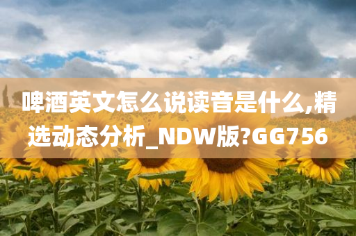 啤酒英文怎么说读音是什么,精选动态分析_NDW版?GG756