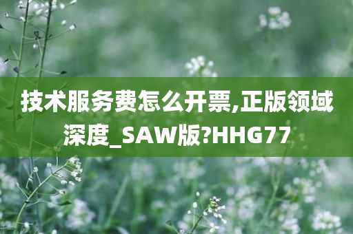 技术服务费怎么开票,正版领域深度_SAW版?HHG77