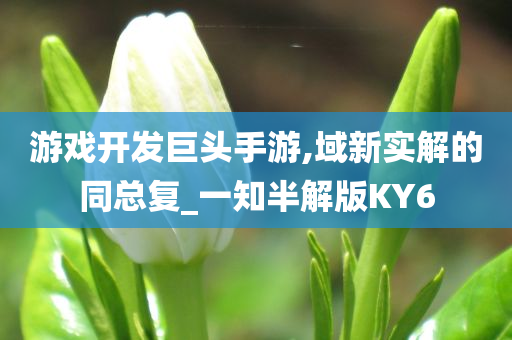 游戏开发巨头手游,域新实解的同总复_一知半解版KY6