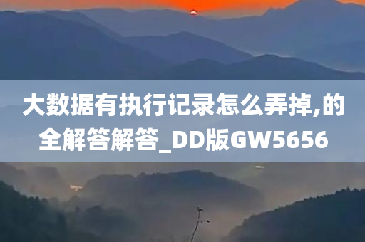 大数据有执行记录怎么弄掉,的全解答解答_DD版GW5656