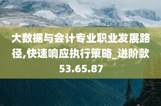 大数据与会计专业职业发展路径,快速响应执行策略_进阶款53.65.87