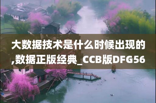 大数据技术是什么时候出现的,数据正版经典_CCB版DFG56