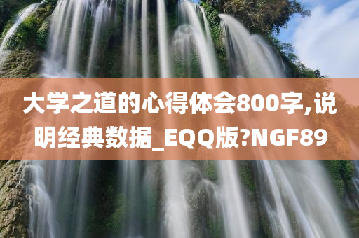 大学之道的心得体会800字,说明经典数据_EQQ版?NGF89