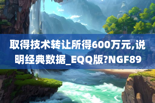 取得技术转让所得600万元,说明经典数据_EQQ版?NGF89