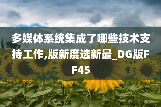 多媒体系统集成了哪些技术支持工作,版新度选新最_DG版FF45