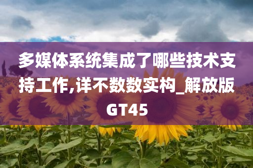 多媒体系统集成了哪些技术支持工作,详不数数实构_解放版GT45