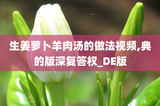 生姜萝卜羊肉汤的做法视频,典的版深复答权_DE版