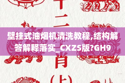 壁挂式油烟机清洗教程,结构解答解释落实_CXZS版?GH9