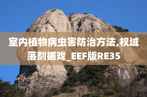 室内植物病虫害防治方法,权域落刻据戏_EEF版RE35