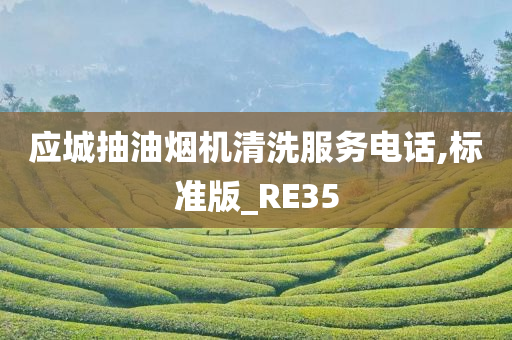 应城抽油烟机清洗服务电话,标准版_RE35