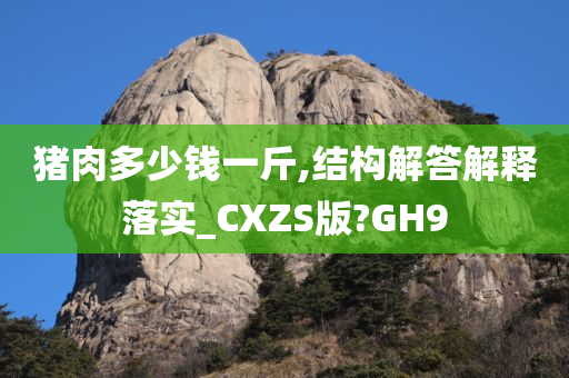 猪肉多少钱一斤,结构解答解释落实_CXZS版?GH9