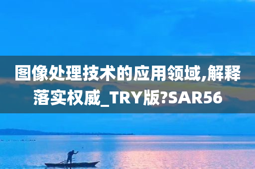 图像处理技术的应用领域,解释落实权威_TRY版?SAR56