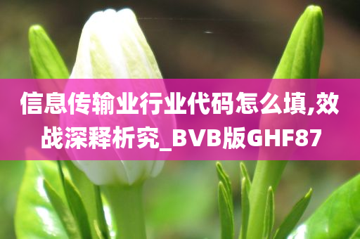 信息传输业行业代码怎么填,效战深释析究_BVB版GHF87