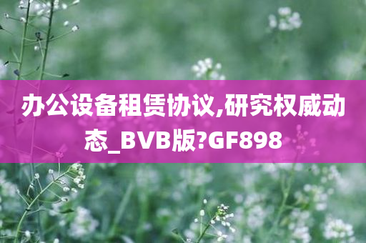 办公设备租赁协议,研究权威动态_BVB版?GF898