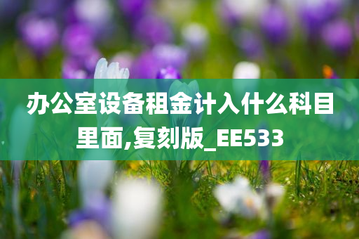 办公室设备租金计入什么科目里面,复刻版_EE533