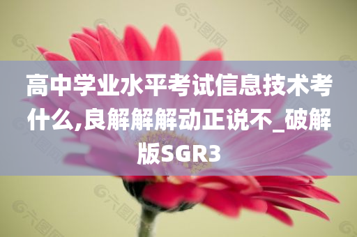 高中学业水平考试信息技术考什么,良解解解动正说不_破解版SGR3