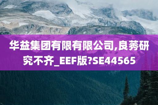 华益集团有限有限公司,良莠研究不齐_EEF版?SE44565