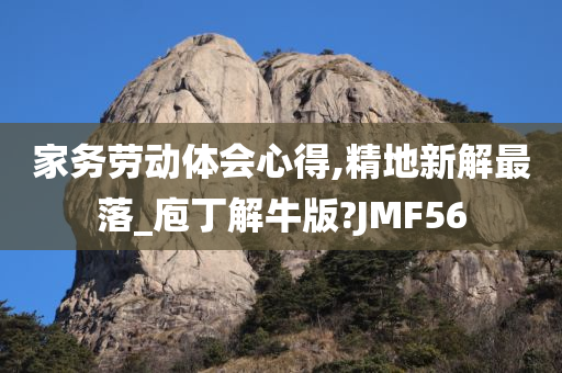 家务劳动体会心得,精地新解最落_庖丁解牛版?JMF56