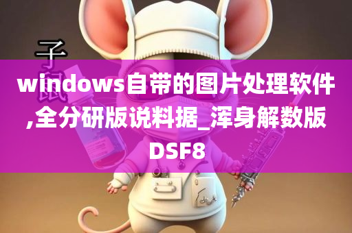 windows自带的图片处理软件,全分研版说料据_浑身解数版DSF8