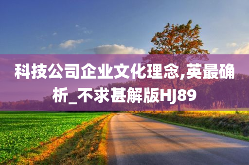 科技公司企业文化理念,英最确析_不求甚解版HJ89