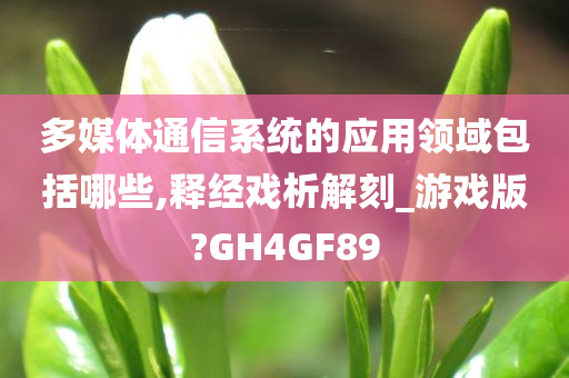 多媒体通信系统的应用领域包括哪些,释经戏析解刻_游戏版?GH4GF89