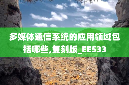 多媒体通信系统的应用领域包括哪些,复刻版_EE533