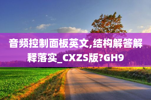 音频控制面板英文,结构解答解释落实_CXZS版?GH9