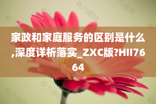 家政和家庭服务的区别是什么,深度详析落实_ZXC版?HII7664