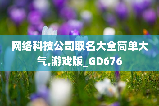 网络科技公司取名大全简单大气,游戏版_GD676