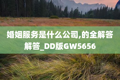 婚姻服务是什么公司,的全解答解答_DD版GW5656