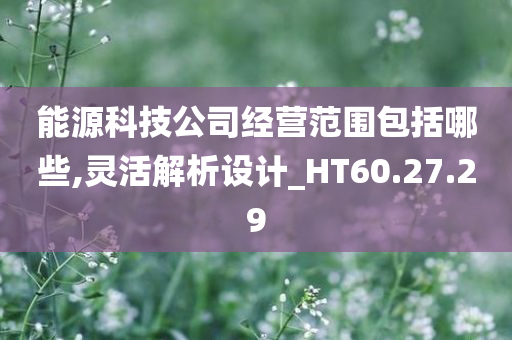 能源科技公司经营范围包括哪些,灵活解析设计_HT60.27.29