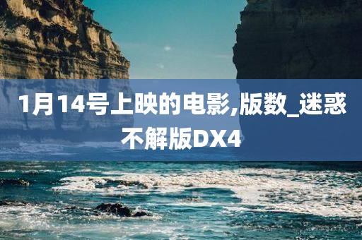 1月14号上映的电影,版数_迷惑不解版DX4